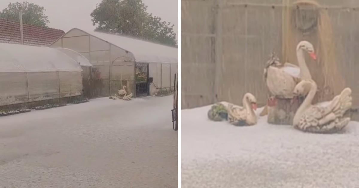 VIDEO Nevrijeme u Međimurju. Tuča prekrila vrtove i dvorišta